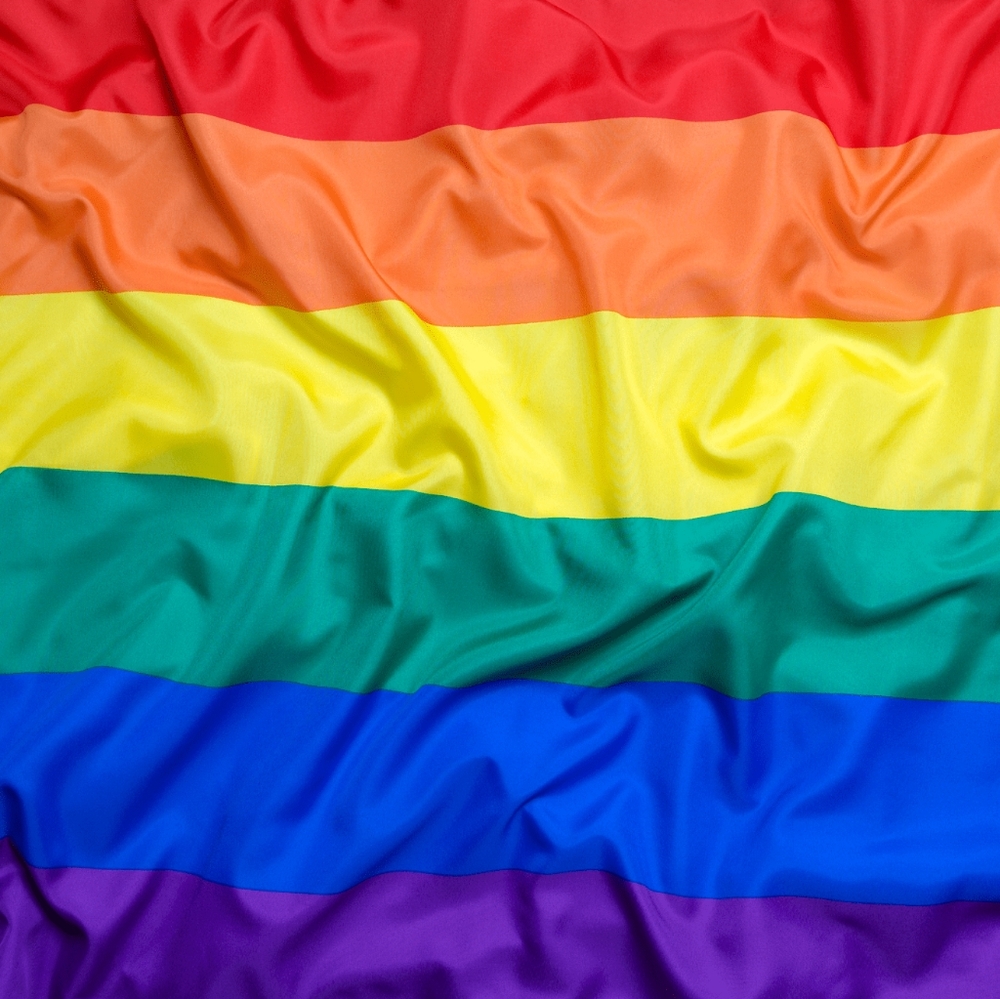 Meet your Posher, Dorrie